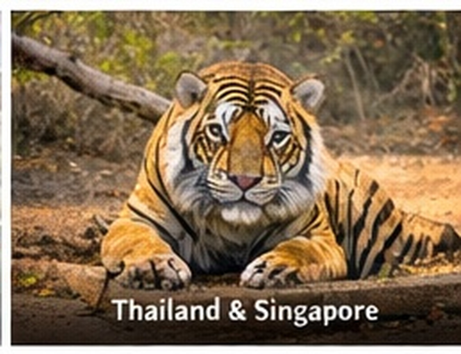 Thrilling Kashmir Cultural Tour photo 3