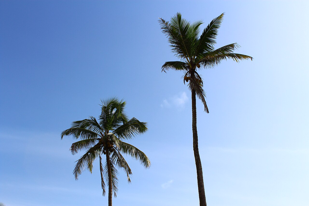 Classic Goa Weekend Getaway Tour photo 1
