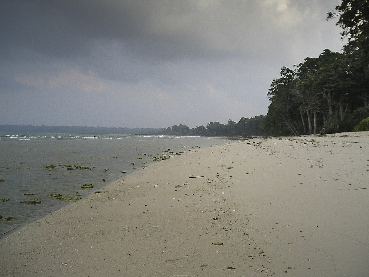Enchanting Andaman Family Tour photo 1