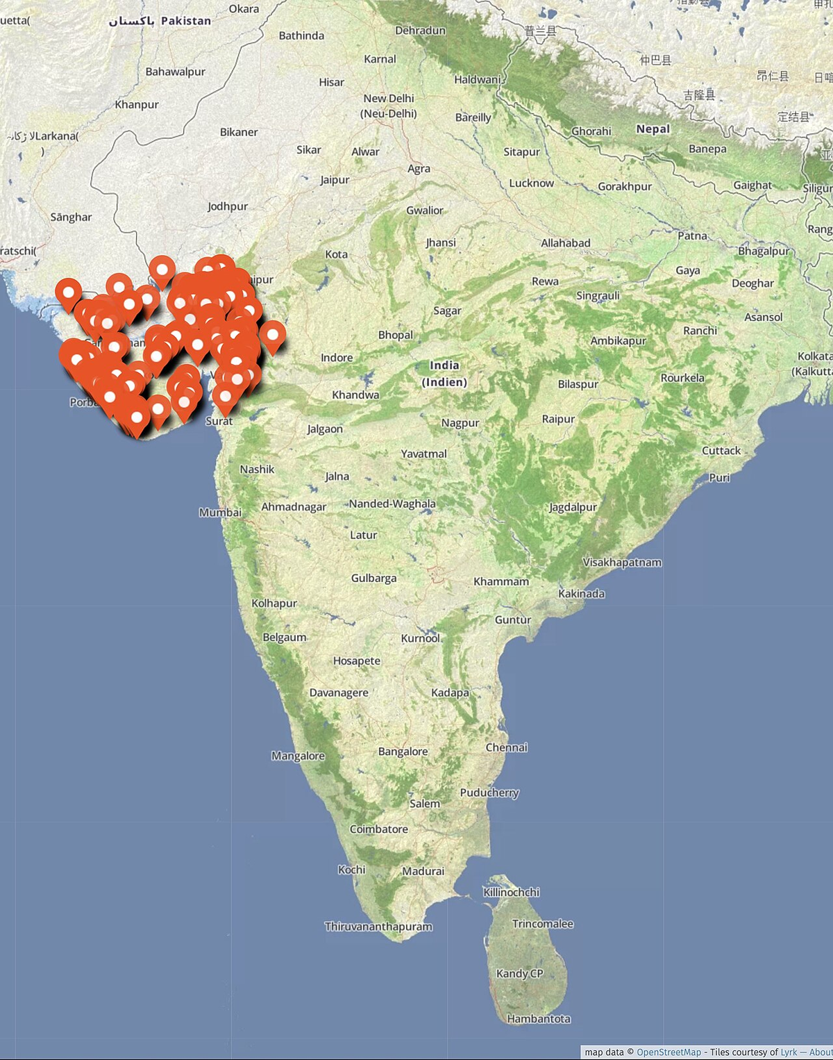 Enchanting Gujarat Family Tour photo 1