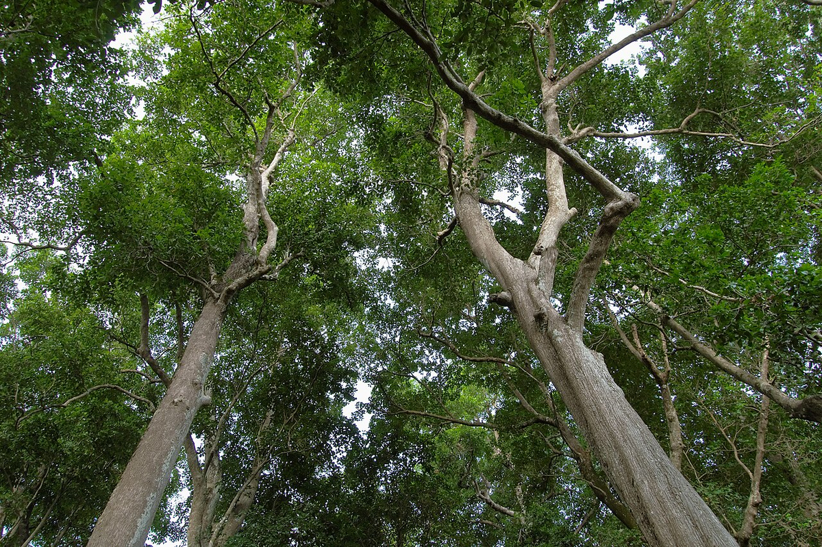 Hidden Gems of Andaman Photography Tour photo 1