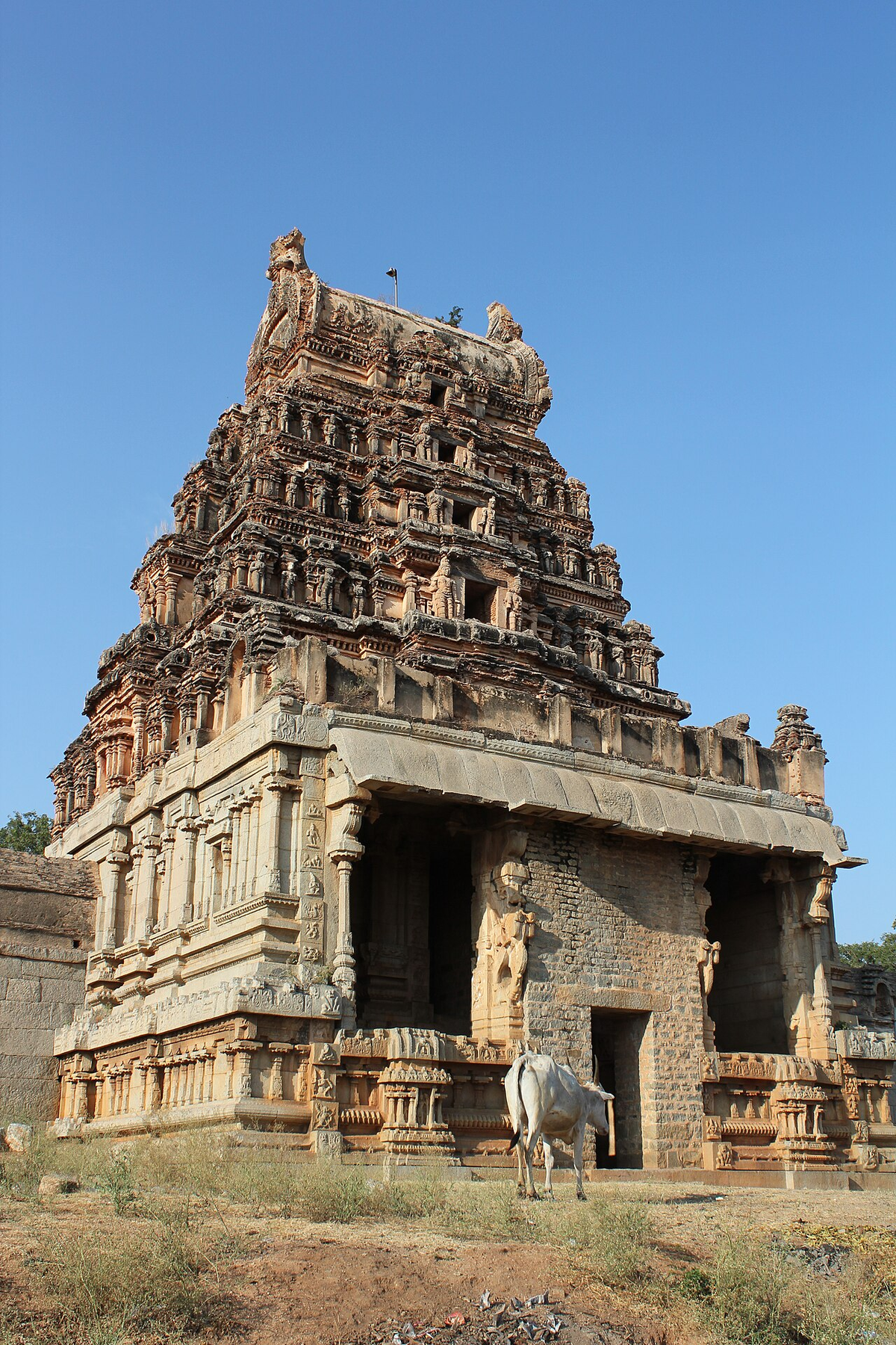 Hidden Gems of South India Budget Tour photo 1