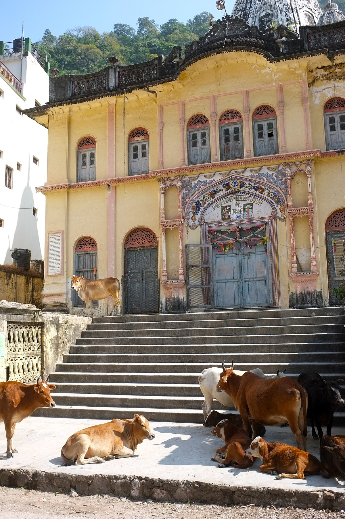 Hidden Gems of Uttarakhand Adventure Tour photo 1