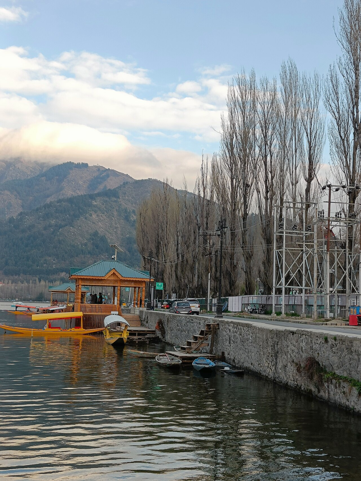 Incredible Kashmir Wildlife Tour photo 1
