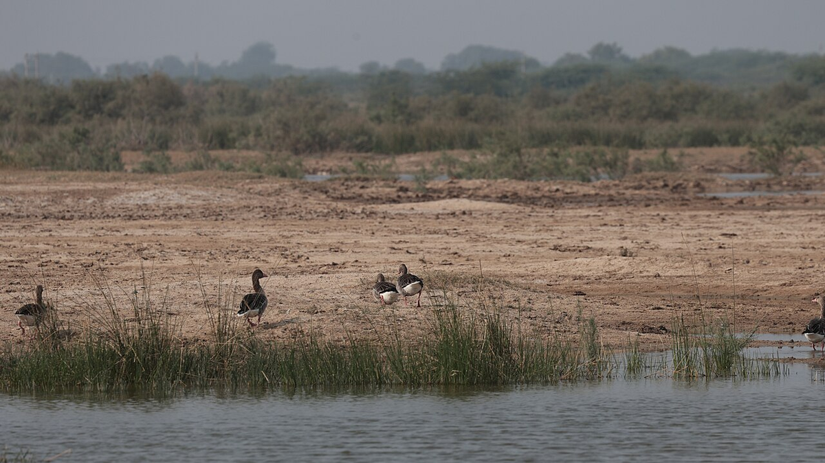 Journey through Gujarat Spiritual Tour photo 1