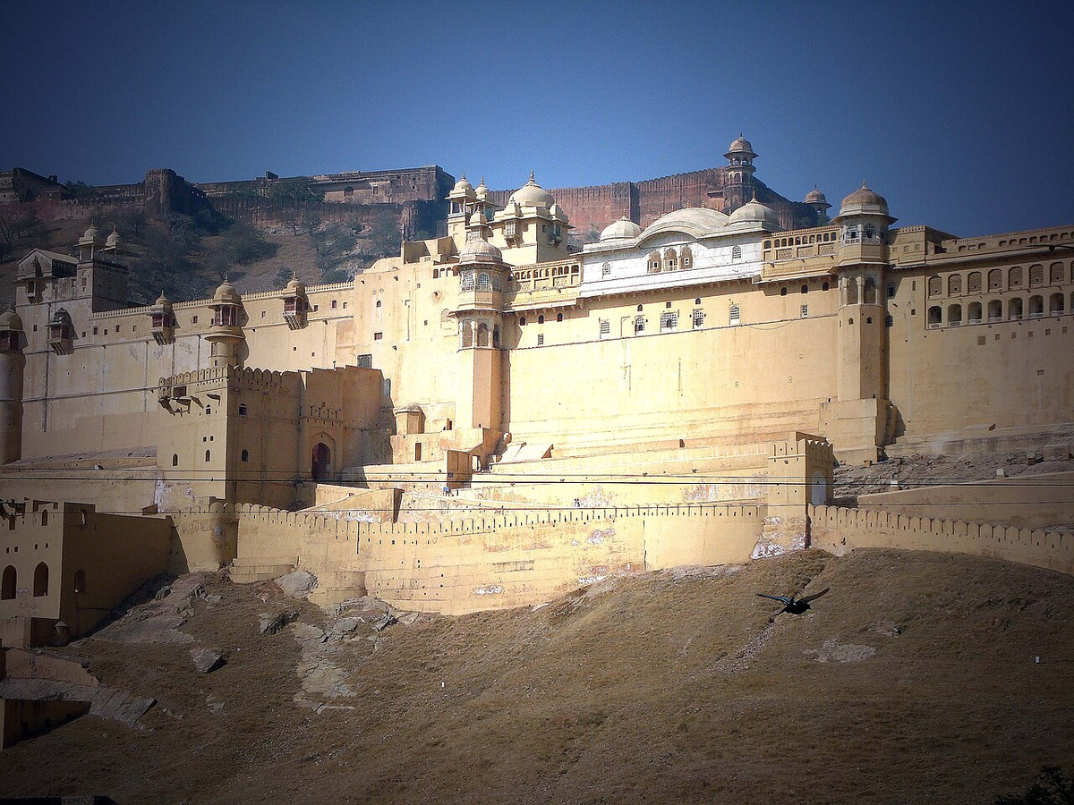 Journey through Rajasthan Wildlife Tour photo 1