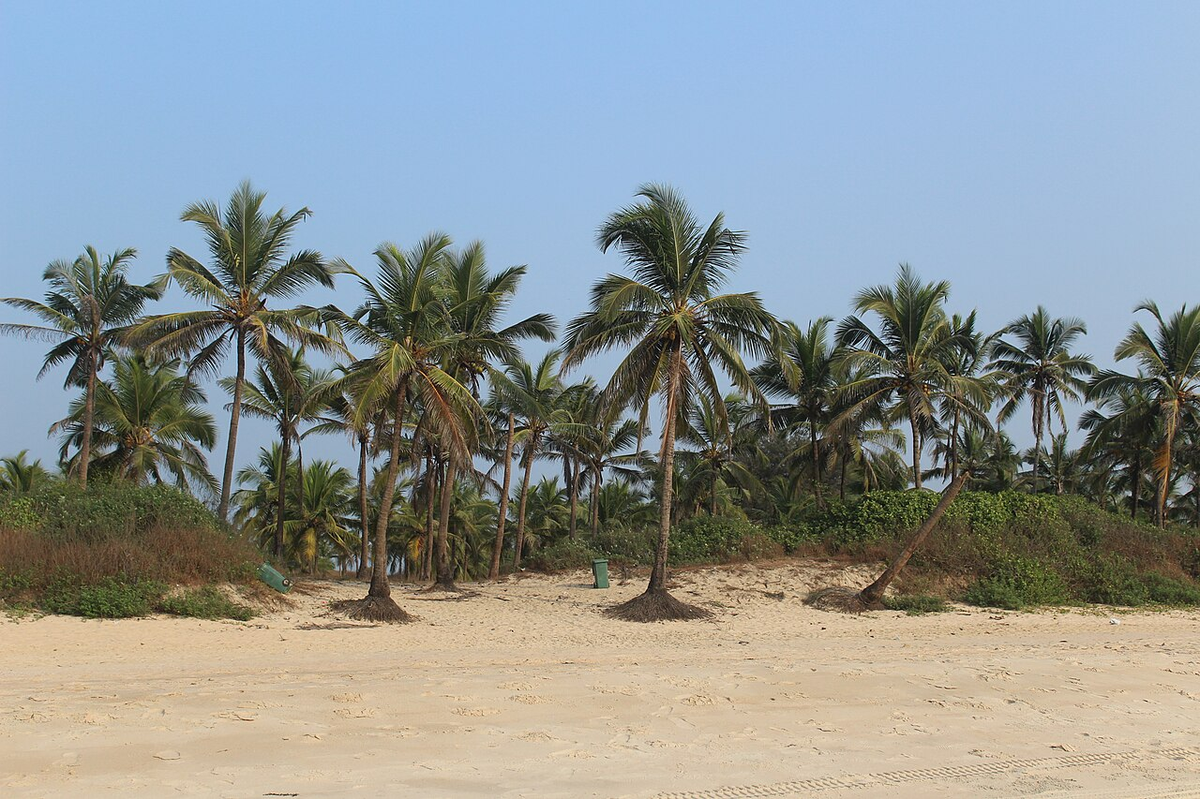 Magical Goa Adventure Tour photo 1