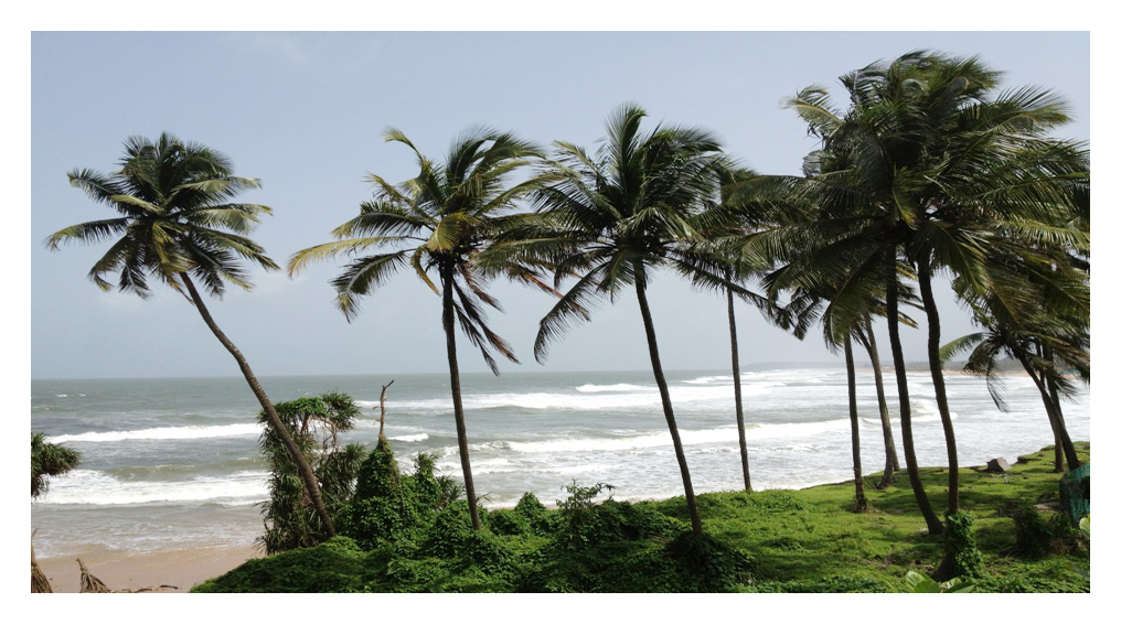 Magical Goa Wildlife Tour photo 1