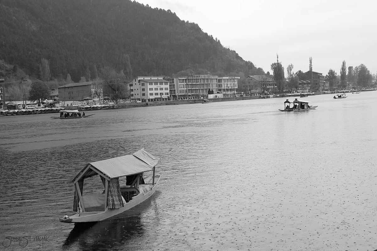 Magical Kashmir Family Tour photo 1
