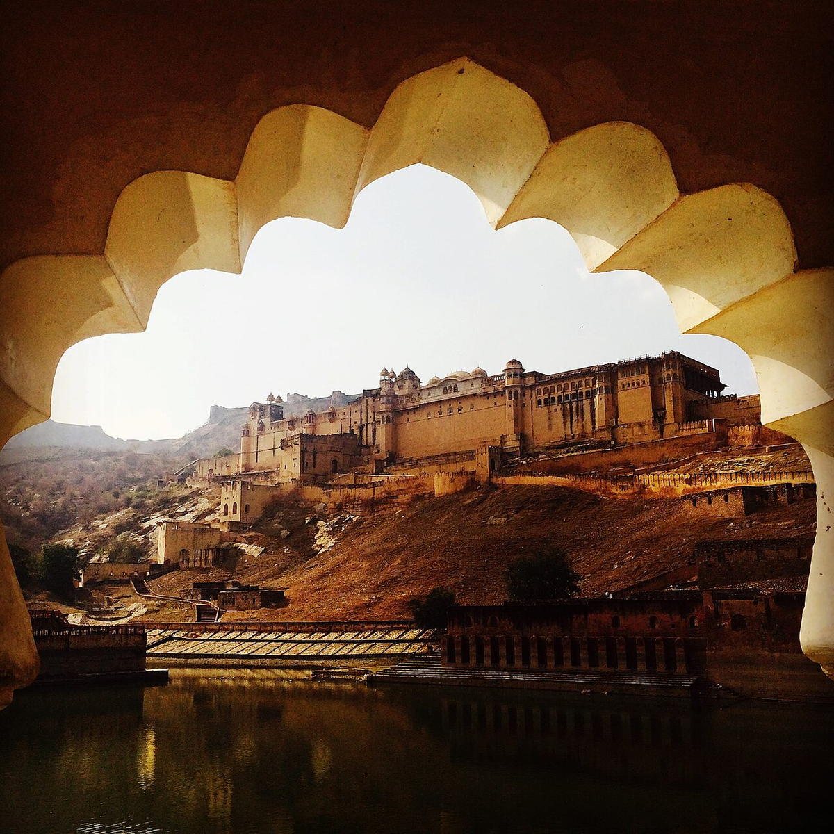 Magical Rajasthan Wildlife Tour photo 1