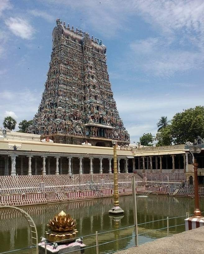 Magical South India Wildlife Tour photo 1