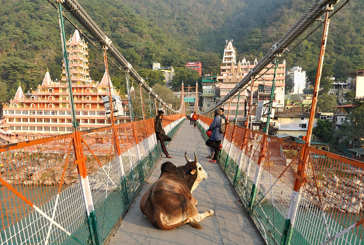 Magical Uttarakhand Adventure Tour photo 1