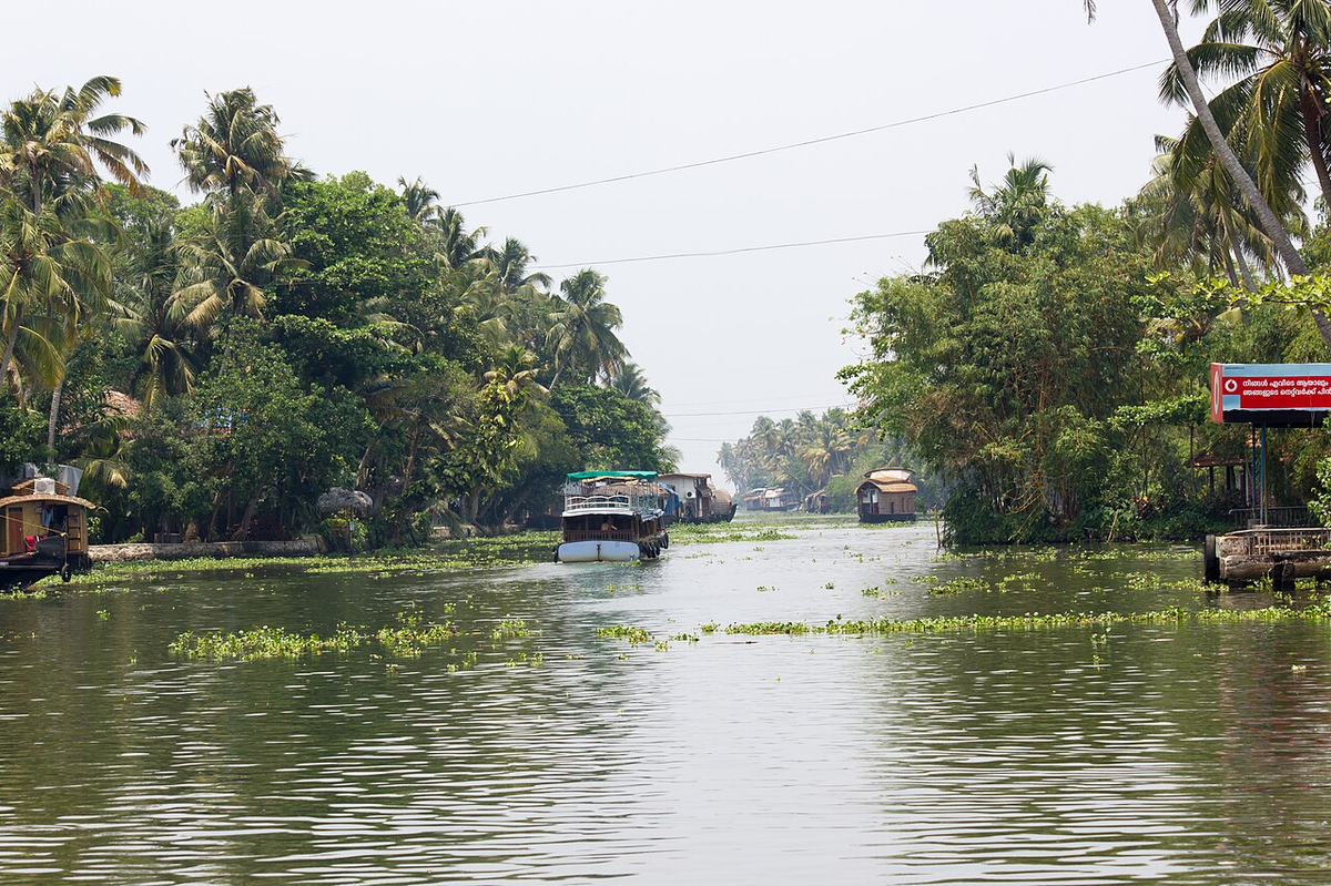 Mystical Kerala Budget Tour photo 1