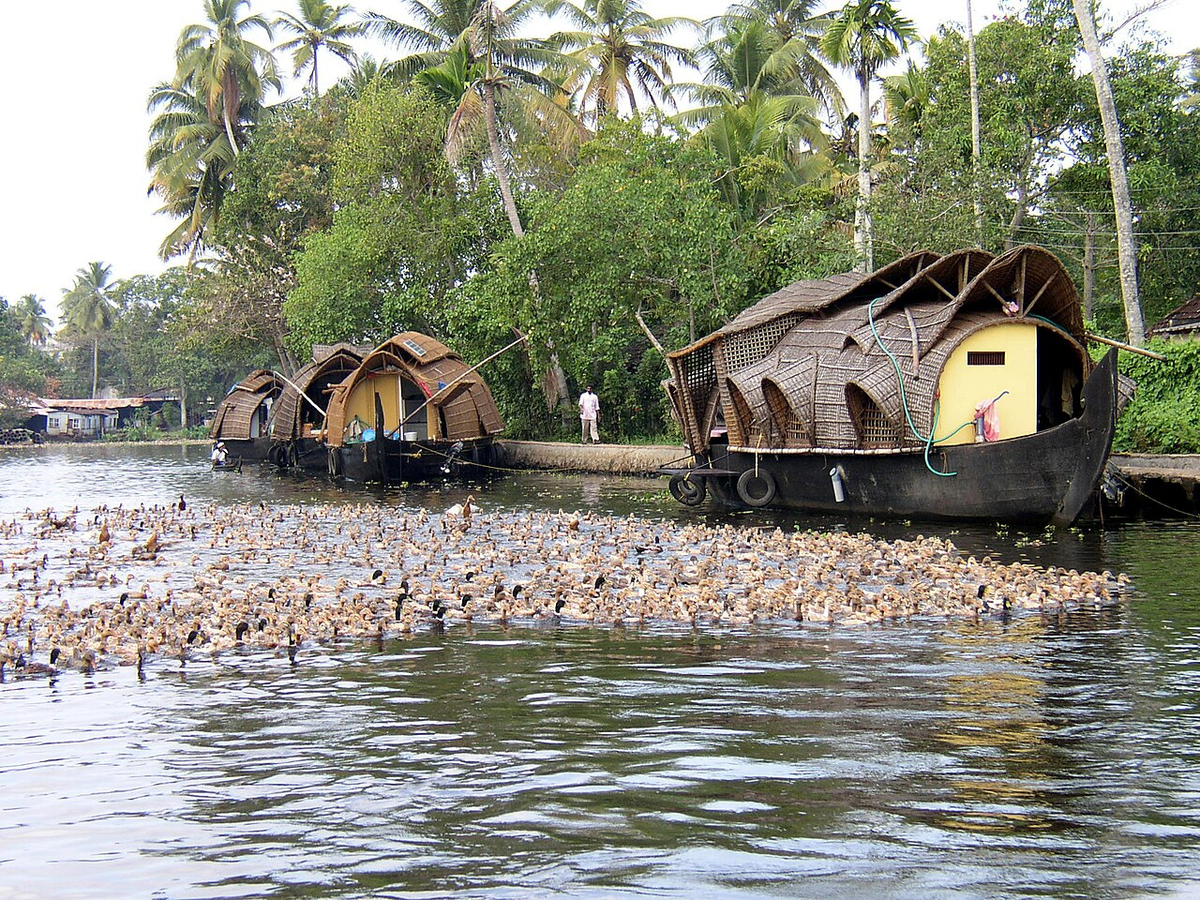 Mystical Kerala Spiritual Tour photo 1