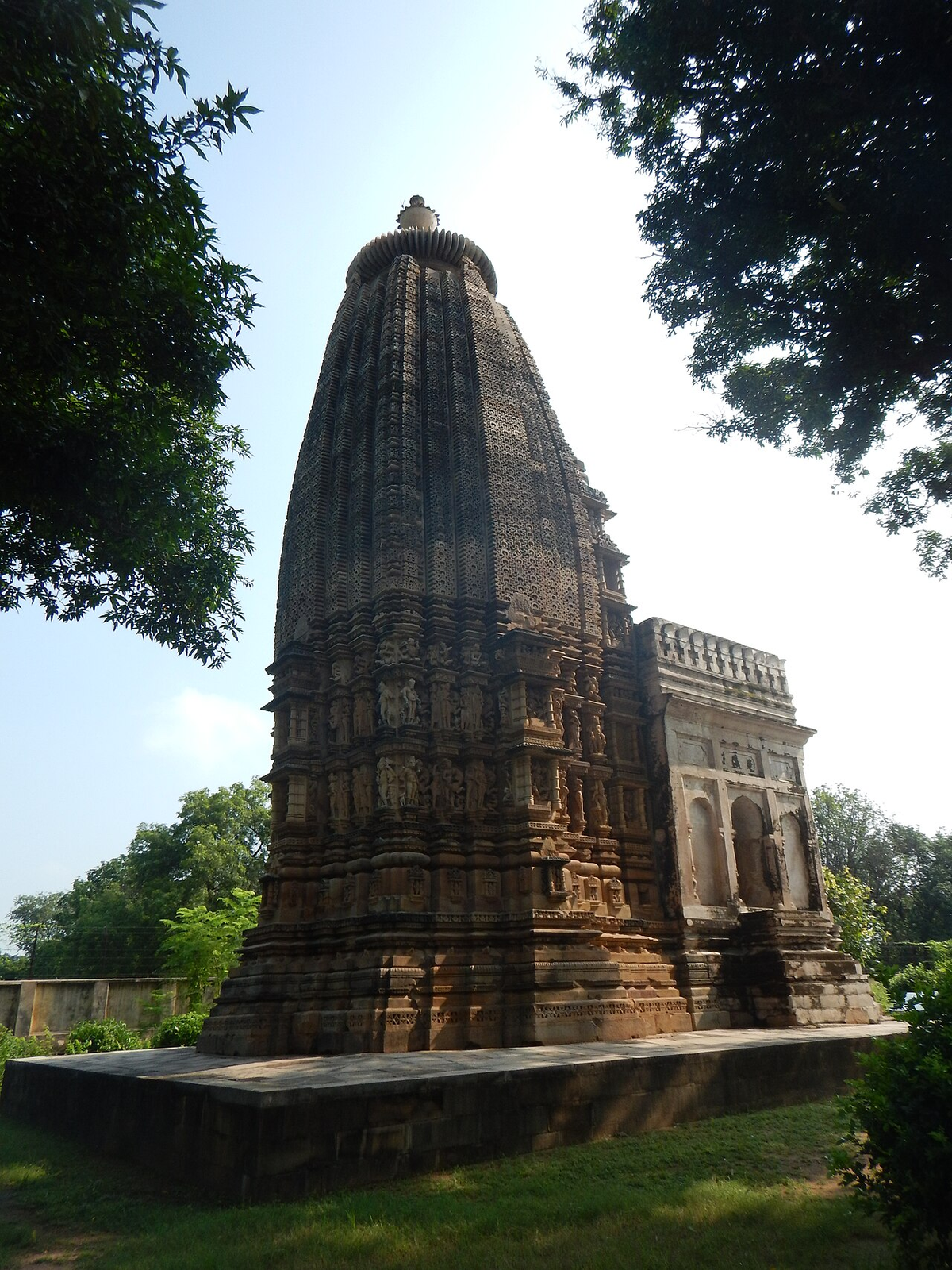 Mystical Madhya Pradesh Wildlife Tour photo 1