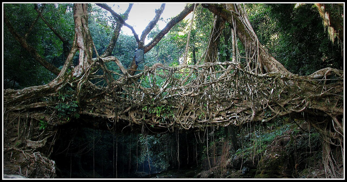 Mystical North East Luxury Tour photo 1