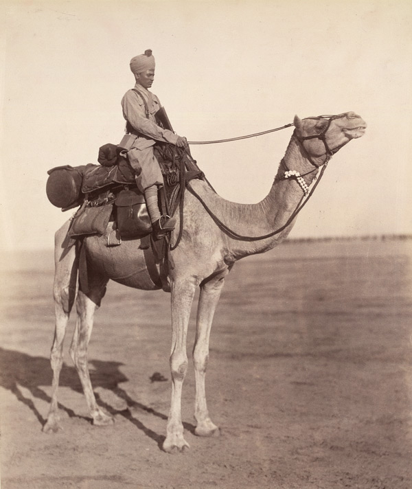 Rajasthan Tour photo 1