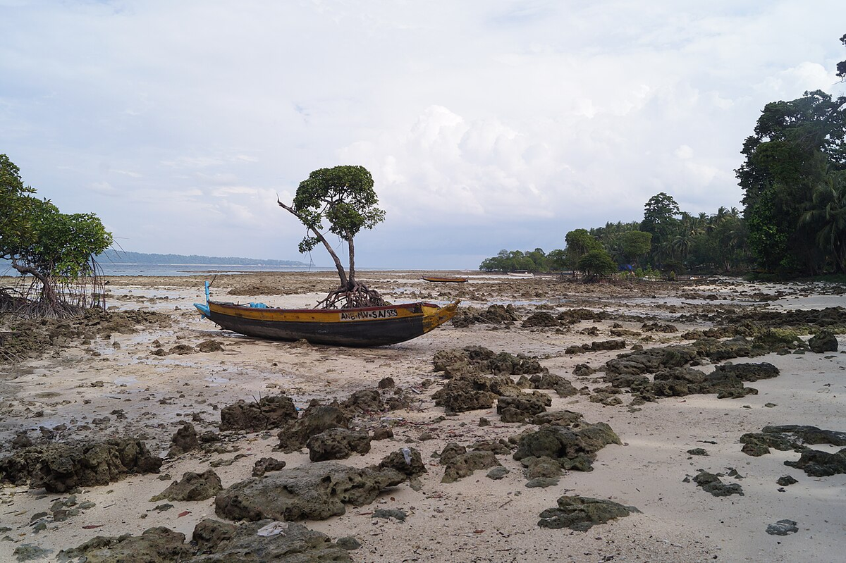 Royal Andaman Weekend Getaway Tour photo 1