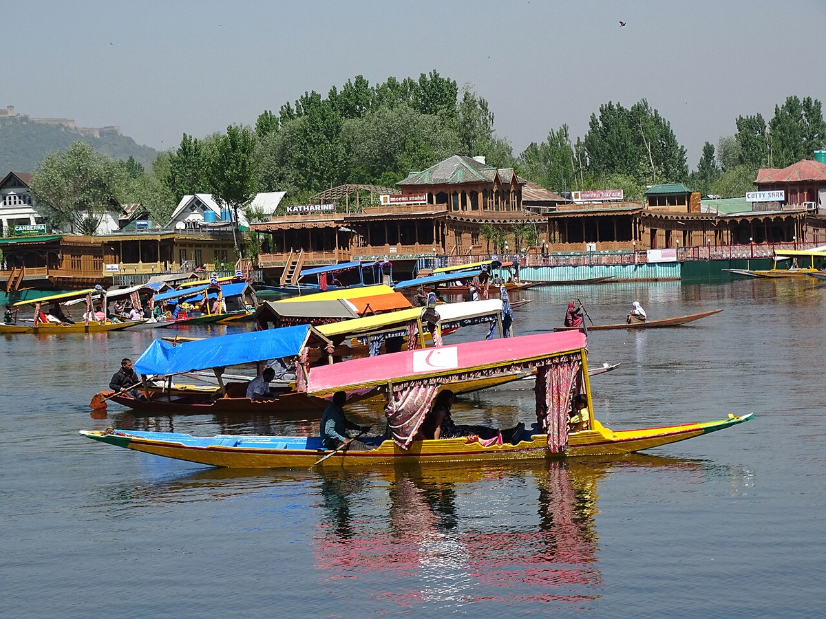 Royal Kashmir Family Tour photo 1
