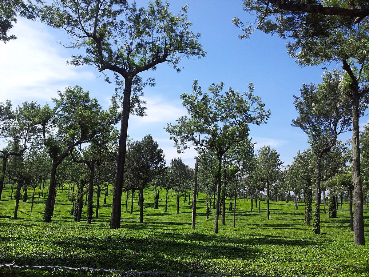 Royal Kerala Photography Tour photo 1