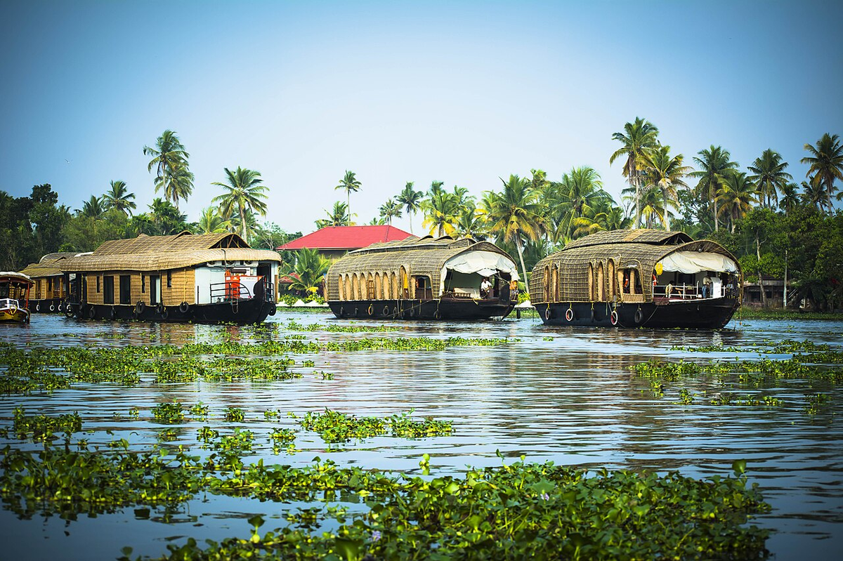 Royal Kerala Wildlife Tour photo 1