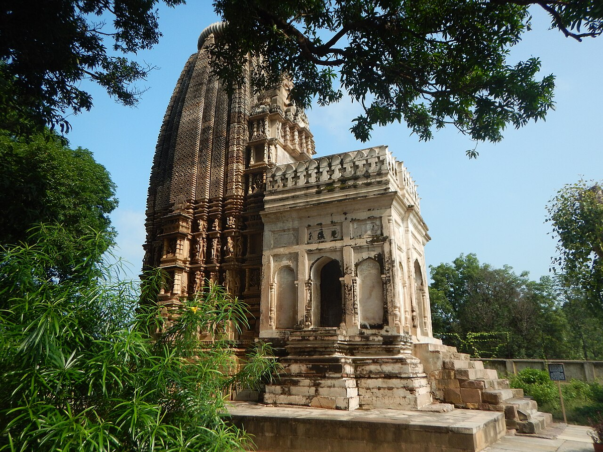 Royal Madhya Pradesh Wildlife Tour photo 1