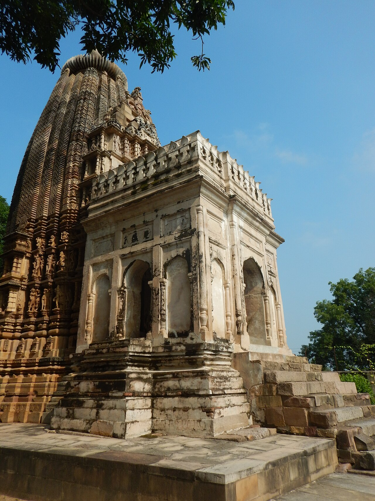 Royal Madhya Pradesh Wildlife Tour photo 1