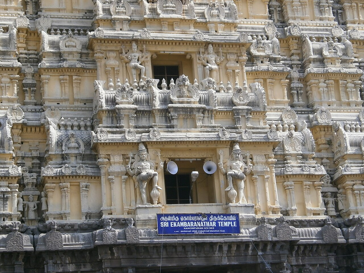 Royal South India Wildlife Tour photo 1