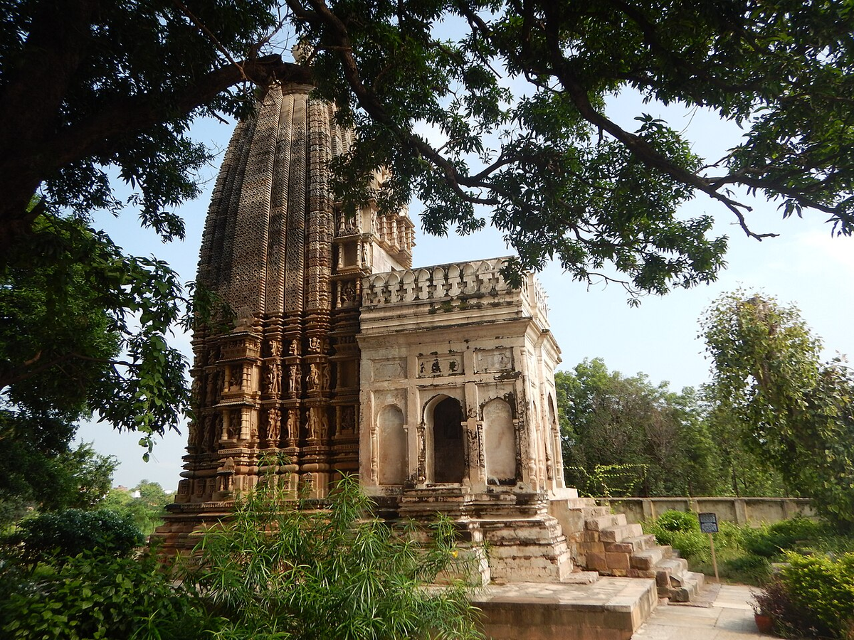 Serene Madhya Pradesh Wildlife Tour photo 1