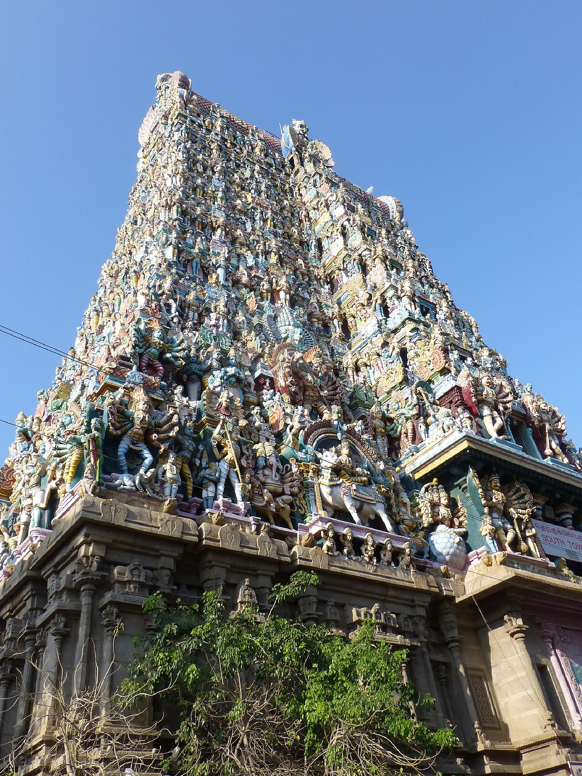 Serene South India Wildlife Tour photo 1