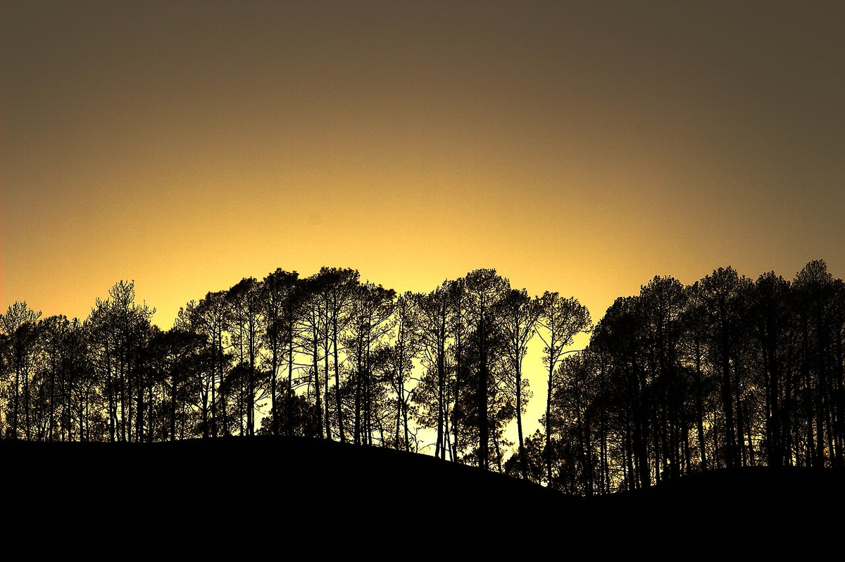 Serene Uttarakhand Photography Tour photo 1