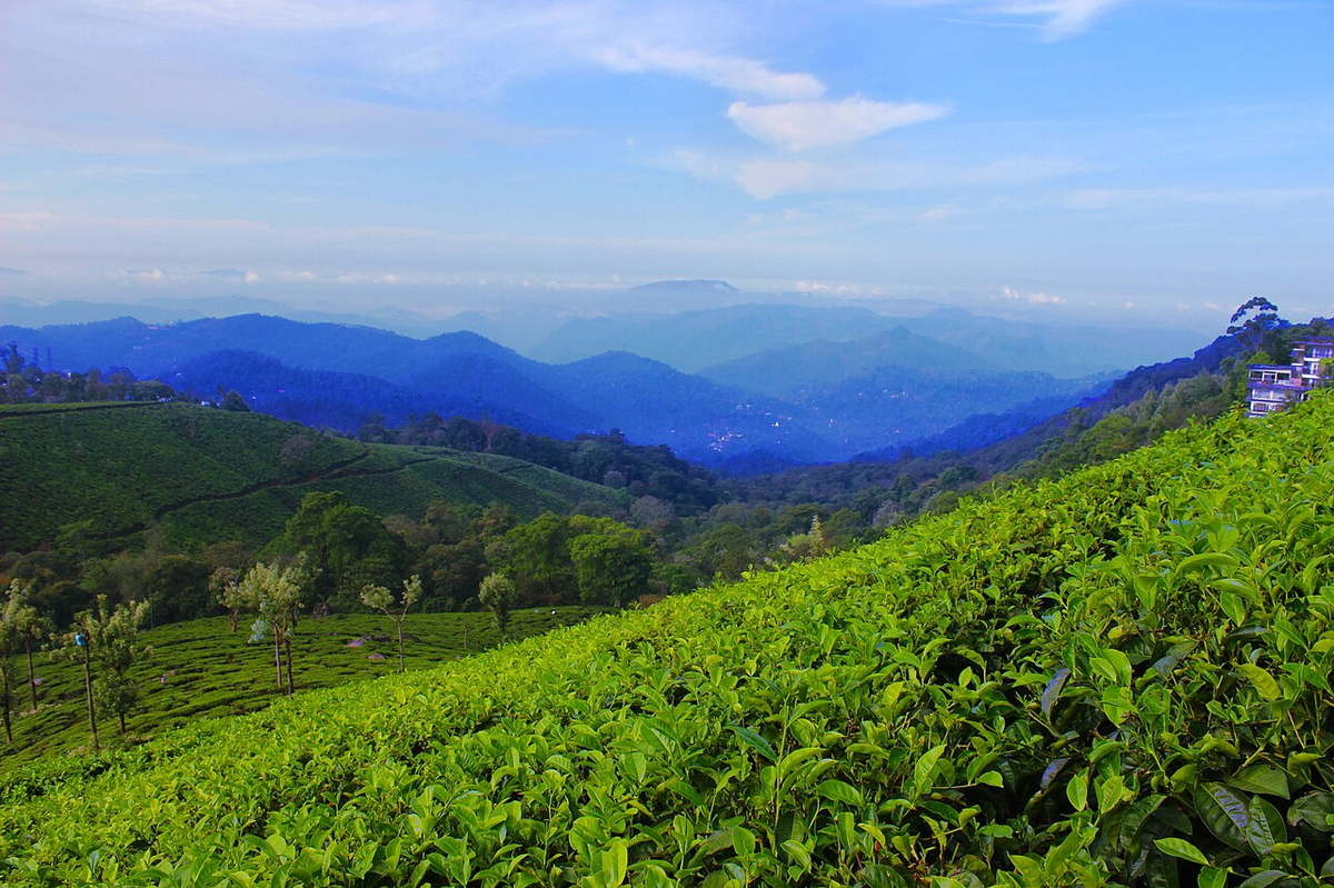 Spectacular Kerala Photography Tour photo 1