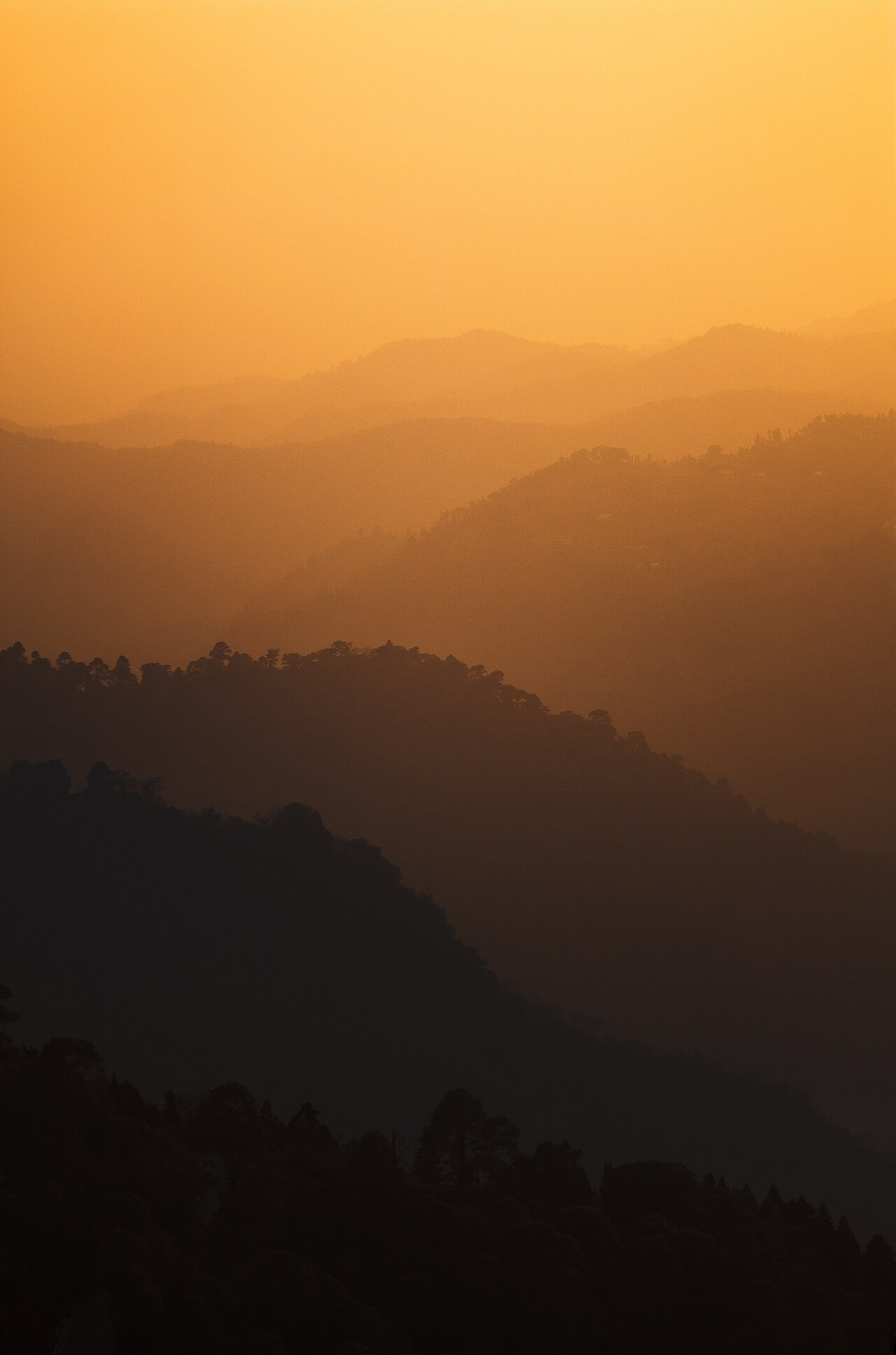 Spectacular Uttarakhand Luxury Tour photo 1