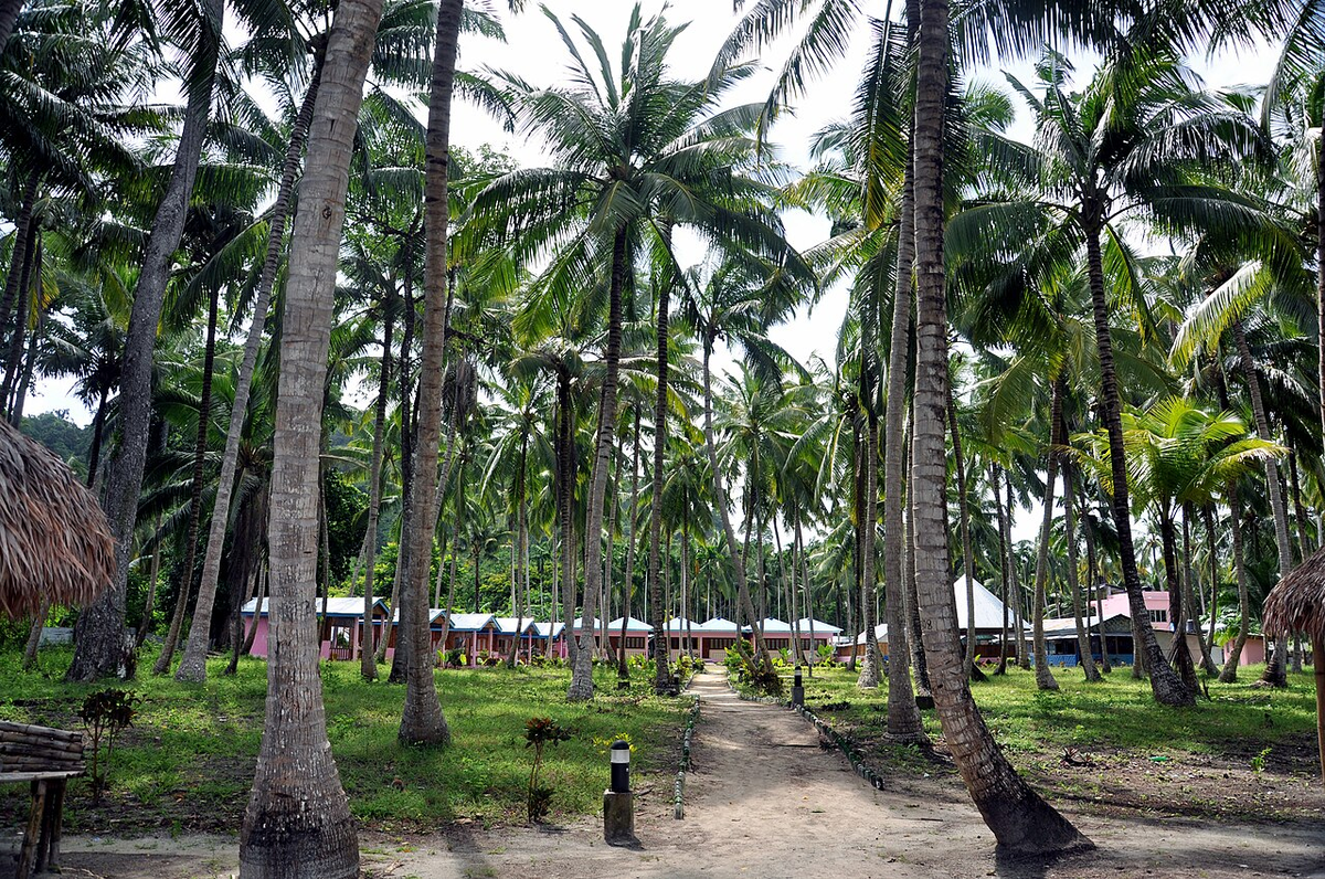 Thrilling Andaman Adventure Tour photo 1