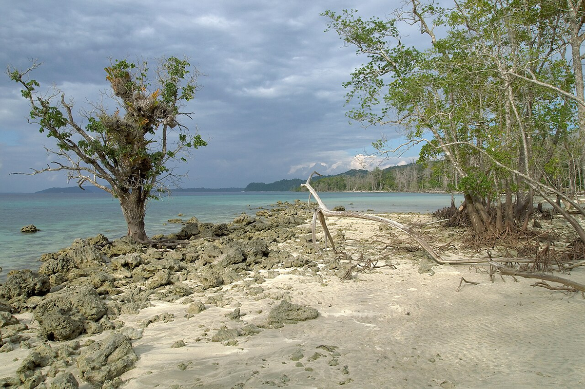 Thrilling Andaman Photography Tour photo 1