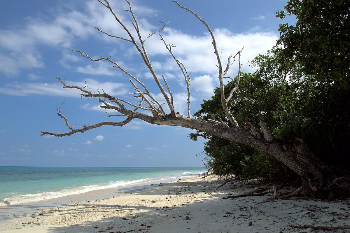 Thrilling Andaman Weekend Getaway Tour photo 1