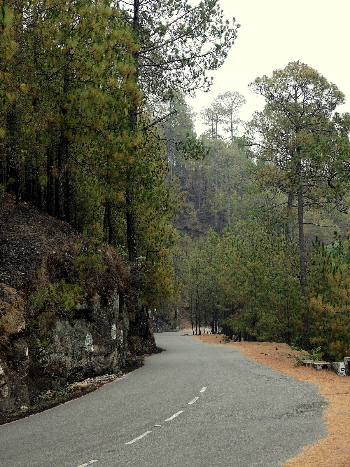 Thrilling Uttarakhand Weekend Getaway Tour photo 1