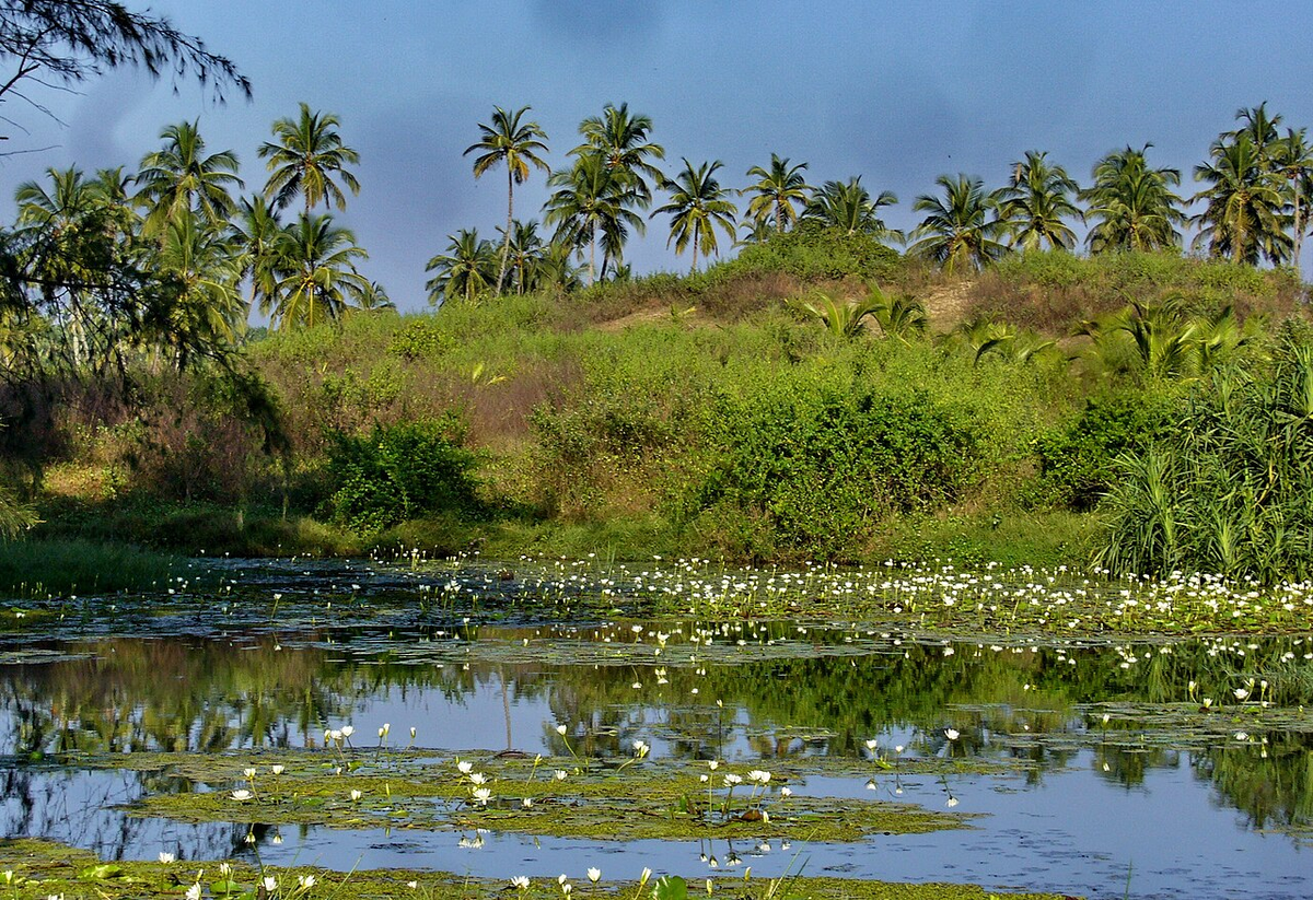 Ultimate Goa Wildlife Tour photo 1
