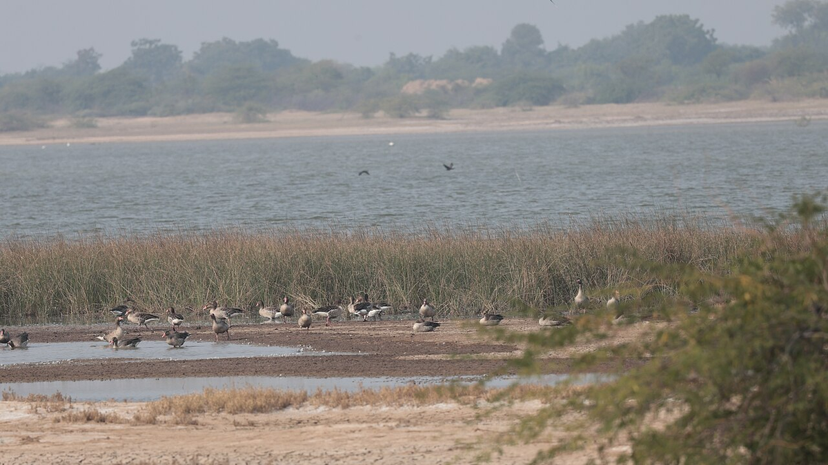 Ultimate Gujarat Spiritual Tour photo 1