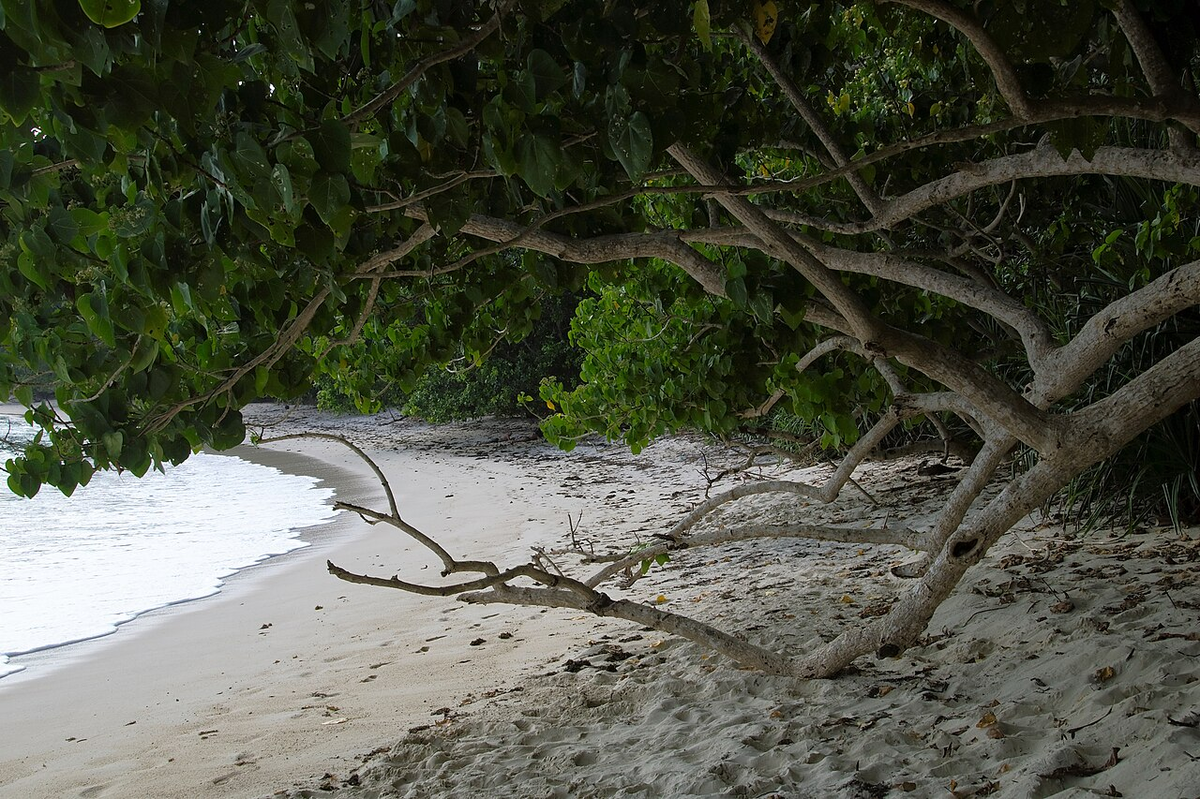 Unforgettable Andaman Photography Tour photo 1
