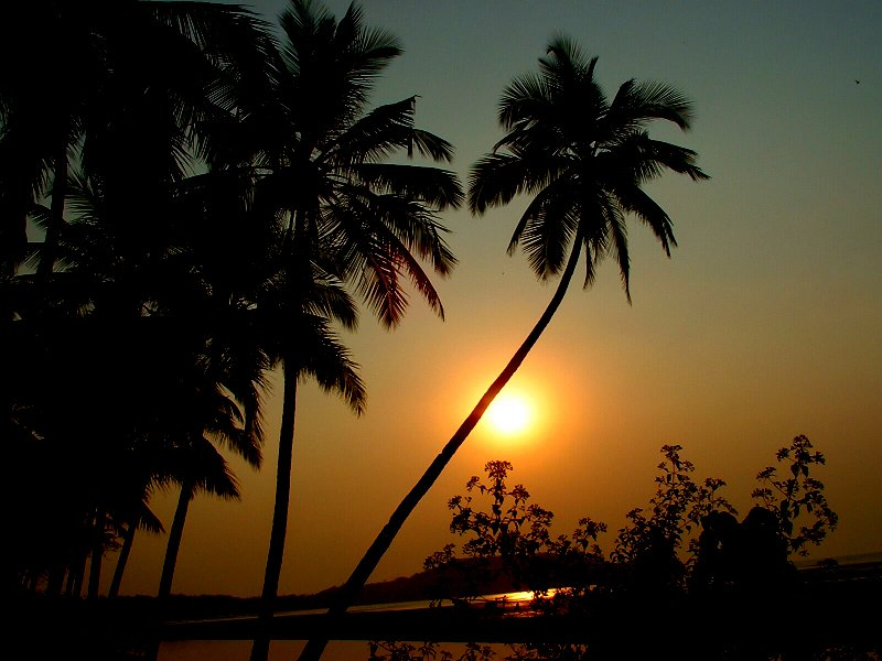 Unforgettable Goa Cultural Tour photo 1