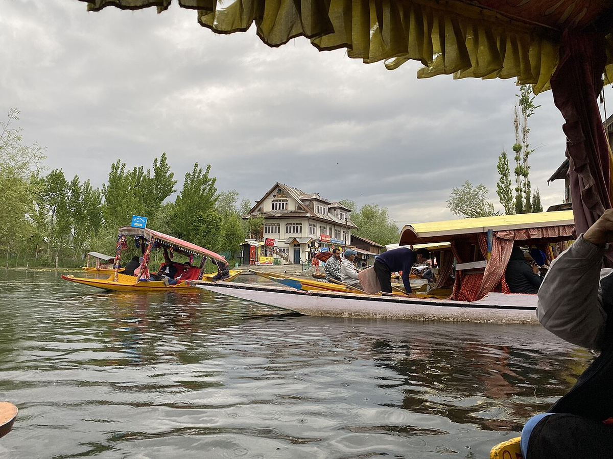 Unforgettable Kashmir Wildlife Tour photo 1