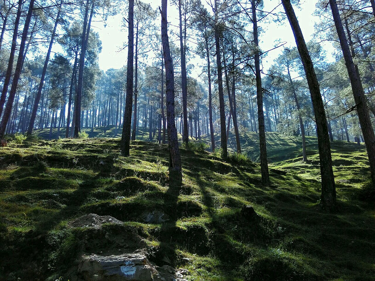 Unforgettable Uttarakhand Weekend Getaway Tour photo 1